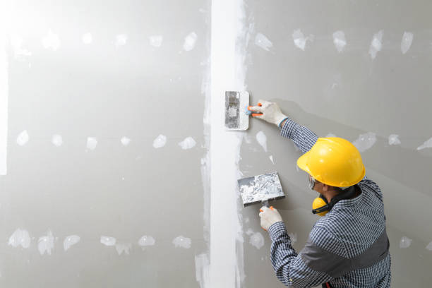 Best Mold Remediation for Healthcare Facilities  in Cadott, WI