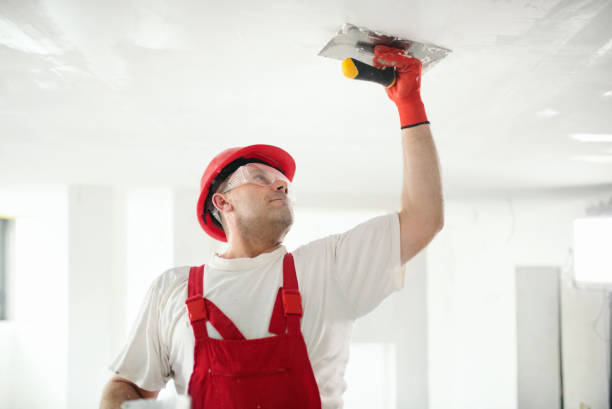 Forensic Mold Investigation in Cadott, WI