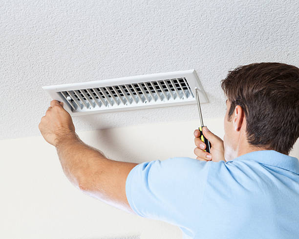 Best Air Quality Testing for Mold Spores  in Cadott, WI