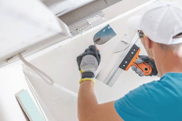 Best Real Estate Mold Inspection  in Cadott, WI